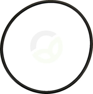 O-tesnilo - Dana Spicer 001051389