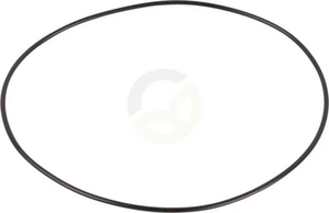 Obroč - Dana Spicer 001051422