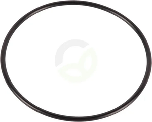 O-tesnilo - Dana Spicer 001050691