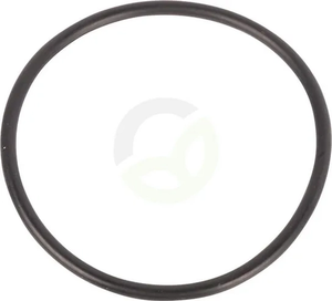 O-tesnilo - Dana Spicer 000051220