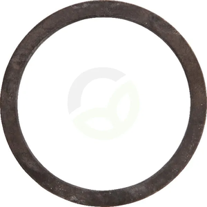 Obroč - Dana Spicer 000245764A