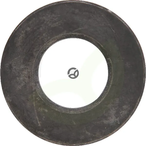 Disk Gaspardo - Dana Spicer 000245320002
