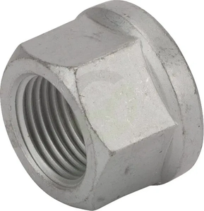 Kolesna matica - BPW 0252131283