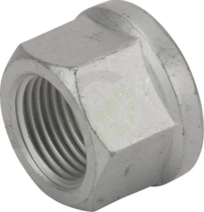 Kolesna matica - BPW 0252131483