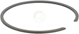 Zategovalni obroč - ZF 0630513077