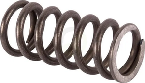 Vzmet - ZF 0632041095