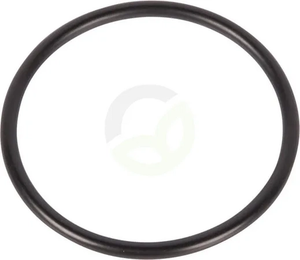 O-tesnilo - ZF 0634306501