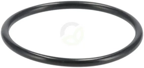 O-tesnilo - ZF 0634304654