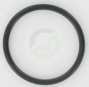 O-tesnilo - ZF 0634303417