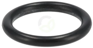 O-tesnilo - ZF 0634306015