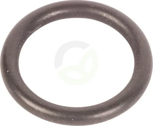 Obroč - ZF 0634313172