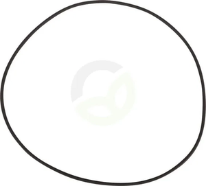 O-tesnilo - ZF 0634313639