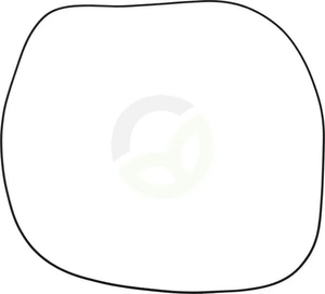 O-tesnilo - ZF 0634304244
