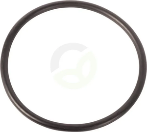 O-tesnilo - Landini 1007241M1