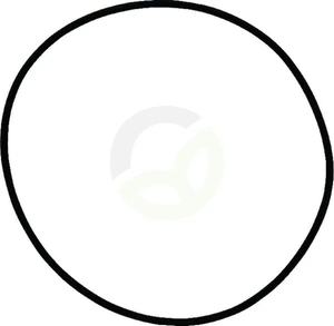 O-tesnilo - Dana Spicer 1120700801