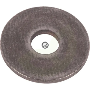 Frikcijski disk - Dana Spicer 1120601702