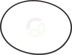 O-tesnilo - Dana Spicer 1120700802
