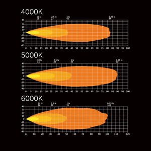 100100055_5