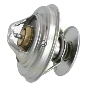 Termostat - CNH 132000060726