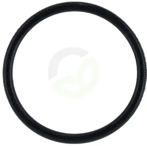 12900142001N_2