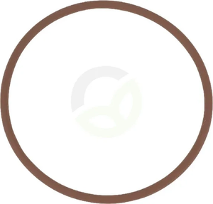 O-tesnilo - CNH 14459881
