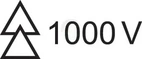 11001094_10