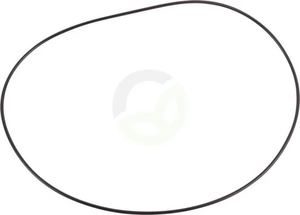 O-tesnilo - Dana Spicer 1710705301