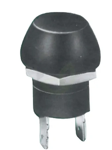 Potisno stikalo - Pneutron 17153000