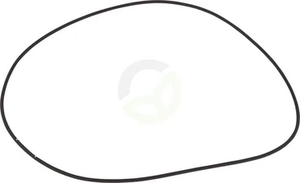 O-tesnilo - Dana Spicer 1760702902