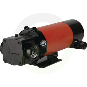 Dizelska črpalka 12V - FMT 23404