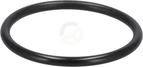 O-tesnilo - Case IH 3147943R1