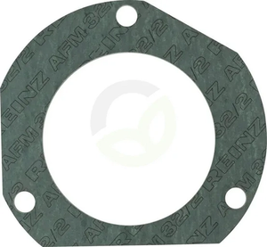Tesnilo izpuha - Fendt (AGCO) 385202100030