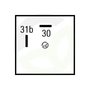 3SB004438161_5