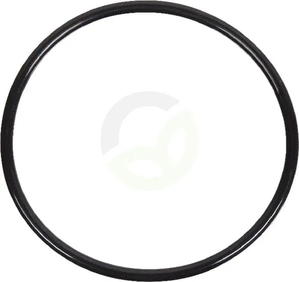 Tesnilo termostata - Massey Ferguson (AGCO) 4222848M1
