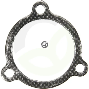 Tesnilo turbo polnilnika - Massey Ferguson (AGCO) 4224968M1