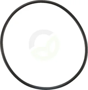 Tesnilo termostata - Massey Ferguson (AGCO) 4223842M1