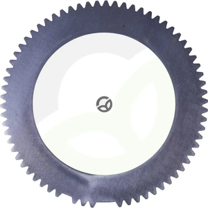 Jekleni disk - ZF 4462305079