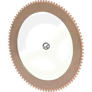 Sinterski disk - Finaff 5170228S