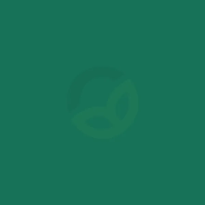 Barva RAL 6016 turkizno zelena 1L - Kramp 601608KR
