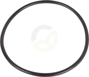 O-tesnilo - Dana Spicer 60K40308