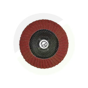 Brusni disk 115mm K40 - Tyrolit 645130