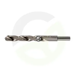 Sveder 12x151mm - za kovine - Hikoki 780414