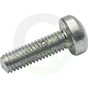 Vijak z ovalno glavo Torx - 3x10 - DIN7985