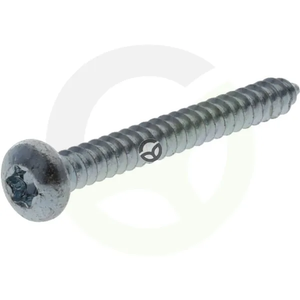 Samonavojni vgrezni vijak Torx - 5.5x38mm