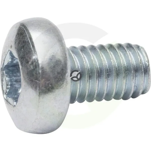 Vijak z ovalno glavo Torx - 6x10 - DIN7985
