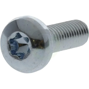 Vijak z ovalno glavo Torx - 5x20 - DIN7985