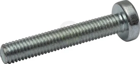 Vijak z ovalno glavo Torx - 5x30 - DIN7985