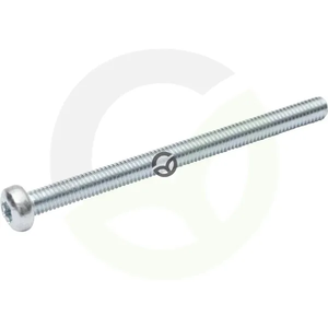 Vijak z ovalno glavo Torx - 3x40 - DIN7985