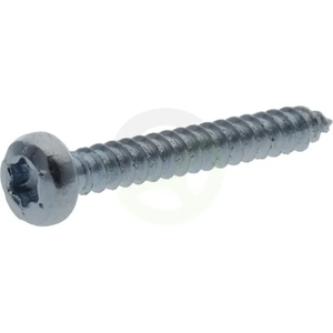 Samonavojni vgrezni vijak Torx - 2.9x25mm