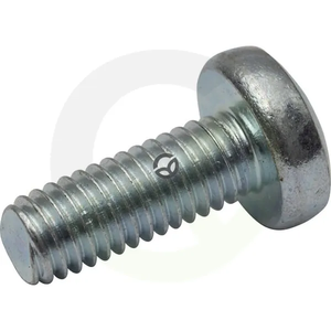Vijak z ovalno glavo Torx - 6x12 - DIN7985
